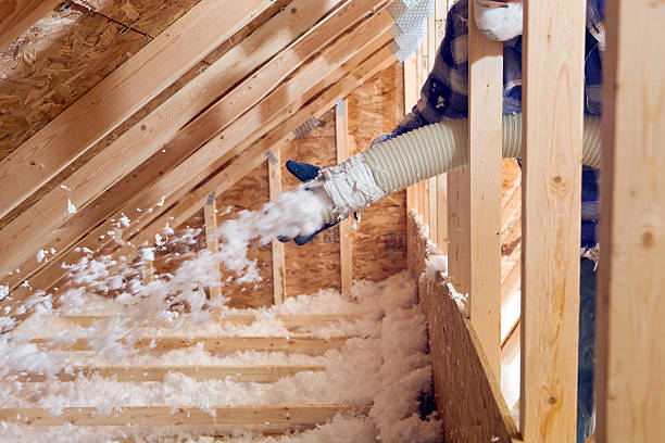 Best Wall Insulation Installation  in Standish, MI